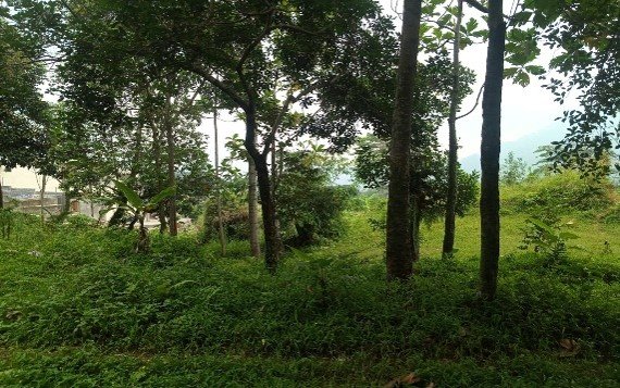 Bojong Koneng 2000 M2 AJB