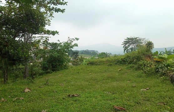 Picture5