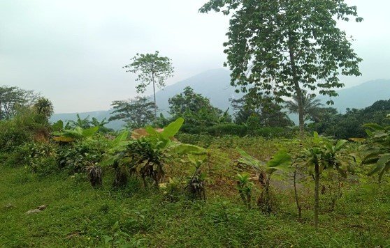 Picture6