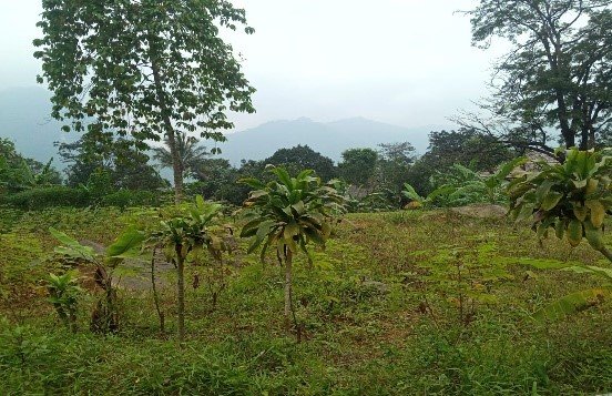 Picture8