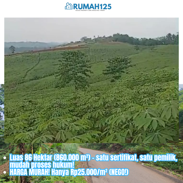 Blue Simple Real Estate Facebook Post - 2025-06-19T120815.082